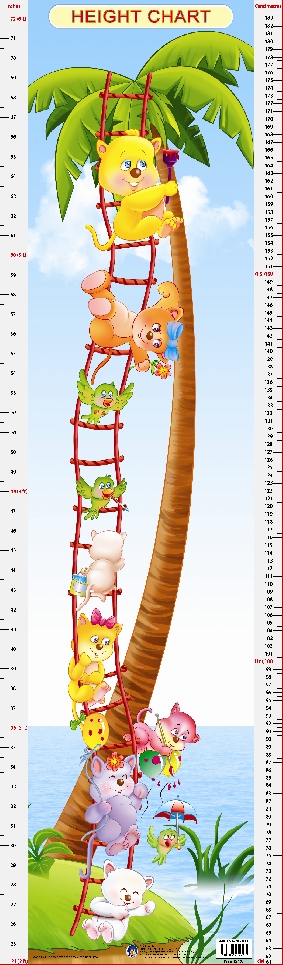 Height chart - 6