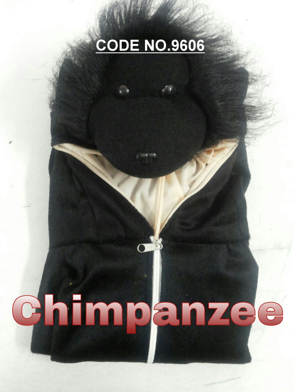 Chimpanzee