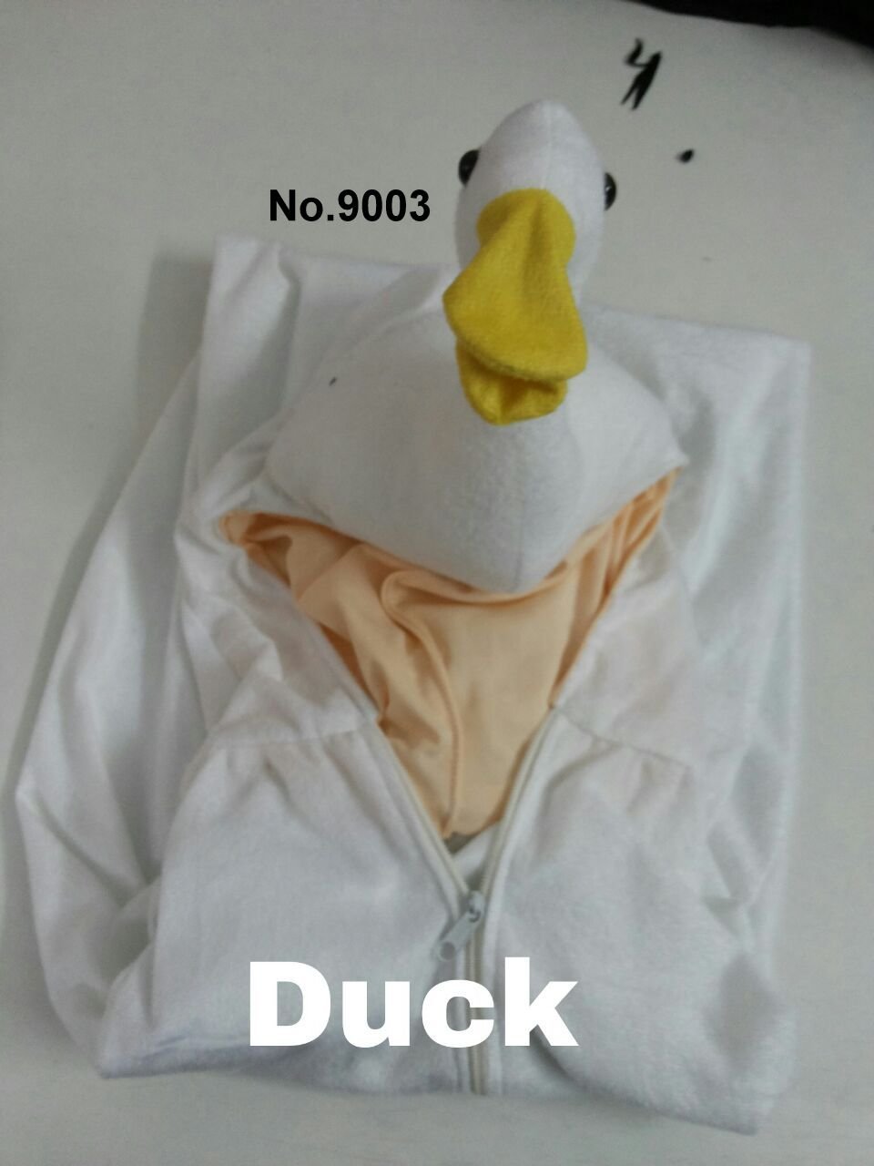 Duck