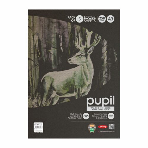 Pupil WC Paper Pack Black 250Gsm -10Shts - A4